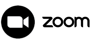 Zoom logo